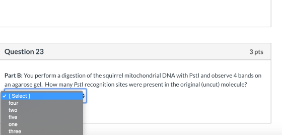 Question 23 3 pts Part B: You perform a digestion of the squirrel mitochondrial DNA with Pstl and observe 4 bands on an agaro
