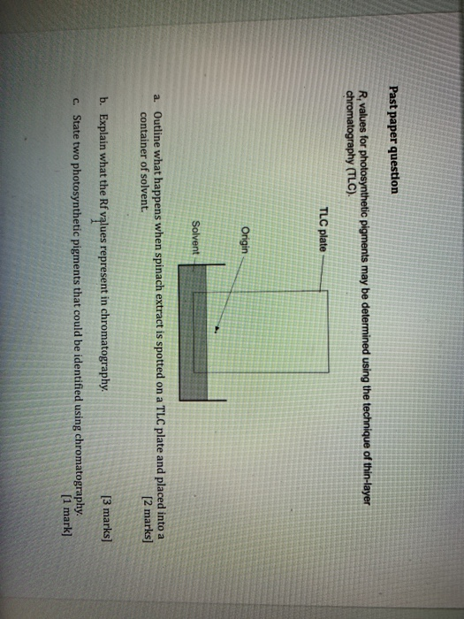Past paper question R, values for photosynthetic pigments may be determined using the technique of thin-layer chromatography