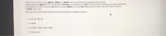 Coat color in mice can be agouti, albino, or black and is controlled by two genes that assort independently. Agouticolor resu
