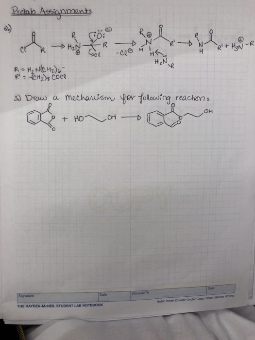 Cio: H2N NR 3) Draw a mechawis er followine reachons он Wtness/TA THE HAYDEN-McNEIL STUDENT LAB NOTEBOOK Note: Insert Divider Under Copy Sheet Before Wwang