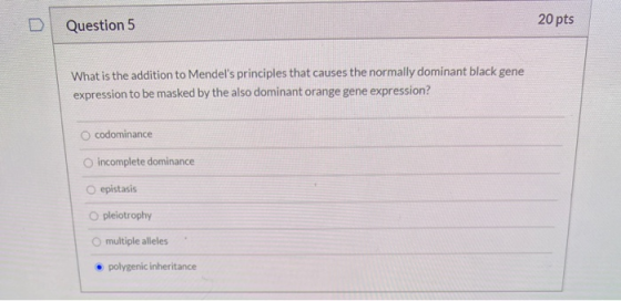 Question 5 20 pts What is the addition to Mendels principles that causes the normally dominant black gene expression to be m