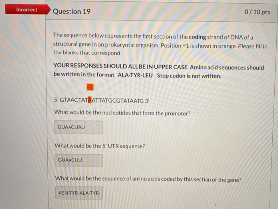 Incorrect Question 19 0/10 pts The sequence below represents the first section of the coding strand of DNA of a structural ge