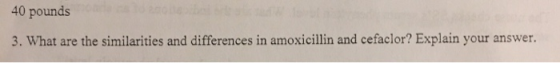 40 pounds 3. What are the similarities and differences in amoxicillin and cefaclor? Explain your answer.