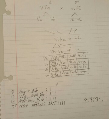 Ve Ve ve ve VE ve 3 Men Eb I Not 3,3