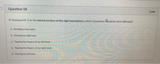 Question 18 1 pts If I lesioned M-1 on the lateral surface of the right hemisphere, which movement would be most affected? Be