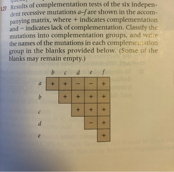 yulm JResults of complementation tests of the six indepen- dent recessive mutations a-fare shown in the accom- panying matrix