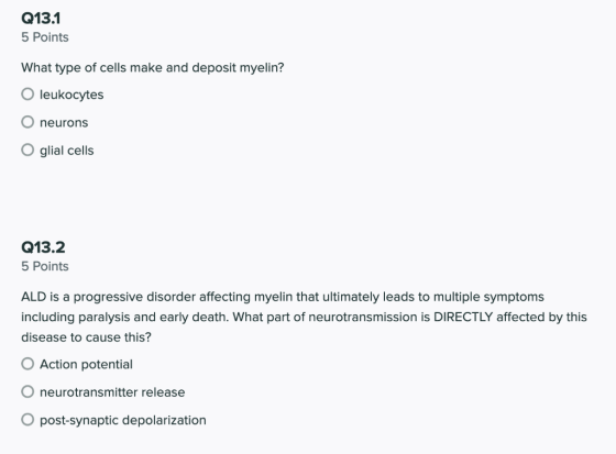 Q13.1 5 Points What type of cells make and deposit myelin? O leukocytes neurons glial cells Q13.2 5 Points ALD is a progressi