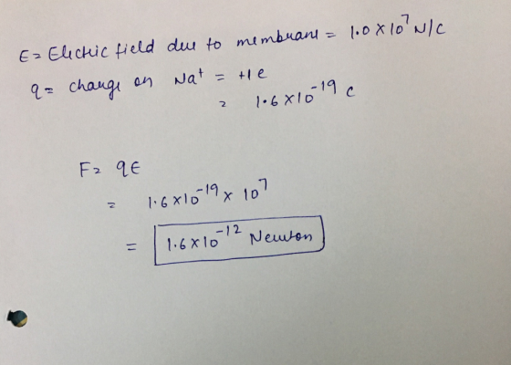 19 01x 107 2 1.6 xlo Newton