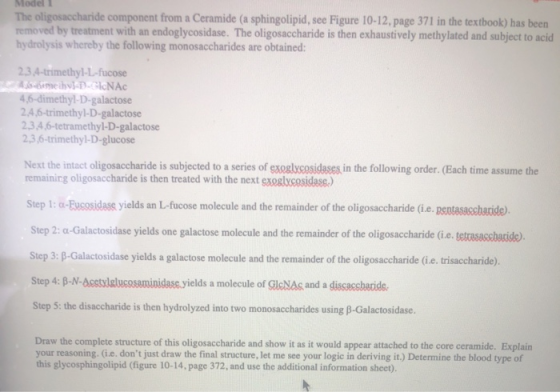 Model 1 The oligosaccharide component from a Ceramide (a sphingolipid, see Figure 10-12, page 371 in the textbook) has been r