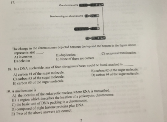 The change in the chromosomes depleted between the