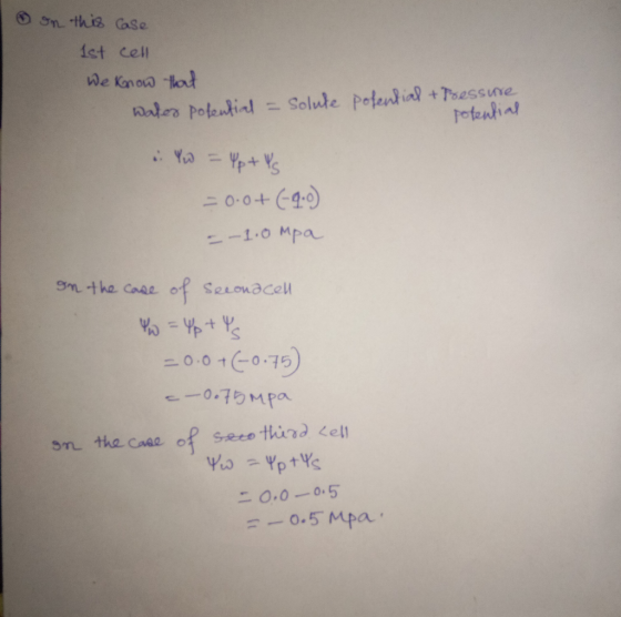 I on this case 1st cell We know that wales potential = solute potential + Pressure potential & YW = Yp+YS = 0.0+(-4.0) – – 1.