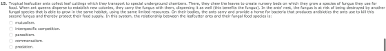 15. Tropical leafcutter ants collect leaf cuttings which they transport to special underground chambers. There, they chew the