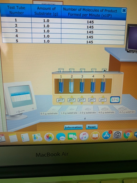 Amount of Substrate (9) Test Tube Number 1 2 3 4 5 1.0 1.0 1.0 1.0 1.0 Number of Molecules of Product Formed per Minute (x10%