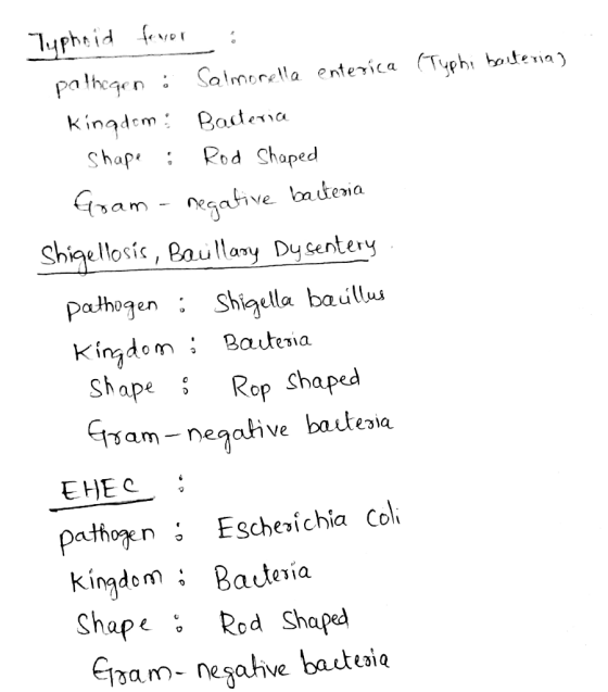 (Typhi barteria) Typhoid fever pathogen : Salmonella enterica Kingdom: Bacteria Shape : Rod Shaped Gram-negative bacteria Shi