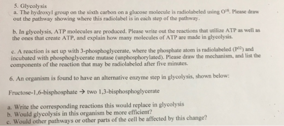 5. Glycolysis a. The hydroxyl group on the sixth carbon on a glucose molecule is radiolabeled using O. Please draw out the pa