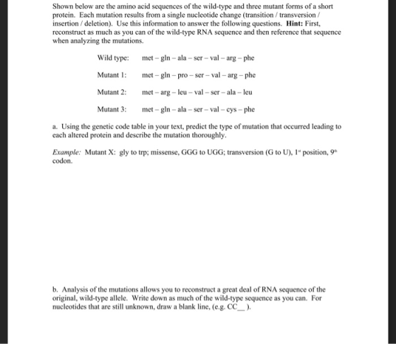 Shown below are the amino acid sequences of the wild-type and three mutant forms of a short protein. Each mutation results fr