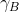 \gamma _B