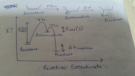 He TSI TS2 Eoc (2) 9nte med aste Δ H reaction Produet
