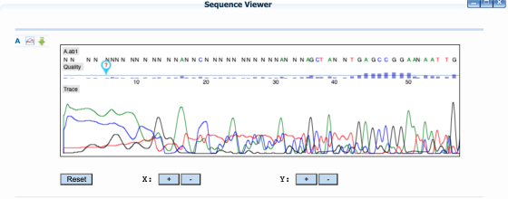 Sequence Viewer А A.ab1 NN Quality NN NNNN NN N NN NNAN NCN NN NN NNNNNNAN N N AG CT AN NIGAGCC GG AAN AAT IG 10 20 30 40 50