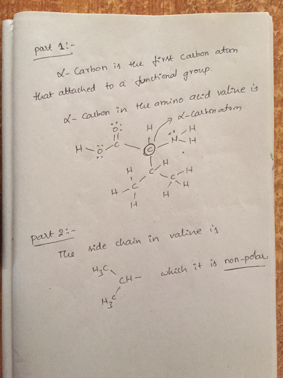 pat 1:- Calb taat attached to a gonch。 snolatoup. of- Coubon in te amino aud value t о。 N1H 사- Tua ide chain in valine H2
