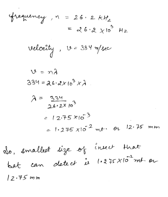 fuguemey 26 2 KH H2 33Ym/sec velecity na V - 331=a6.D xA A 334 3 26.2X 1o /2.75 x1O3. er 12.75 mm 275 xlo2 mt insect Hhat do,