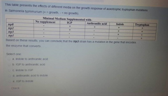 This table presents the effects of different media on the growth response of auxotrophic tryptophan mutations in Salmonella typhimurium growth. no growth). Minimal Medium Supplemented with- No supplement IGP Anthranilic acid Indole Tryptophan trp8 trp2 trp3 trpl Based on these results, you can conclude that the trp3 strain has a mutation in the gene that encodes the enzyme that converts Select one a, indole to anthranilic acid b, IGP to anthranilic acid indole to IGP d anthranilic acid to indole e IGP to indole Check