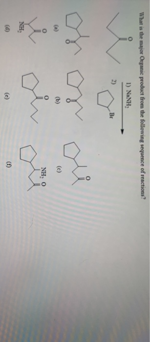 What is the major Organic product from the following sequence of reactions? o 1) NaNH 2) Br (6) i NH, 0 NH (e) (1)