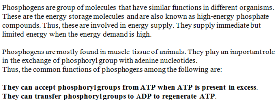 Phosphogens are group of molecules that have similar functions in different organisms. These are the energy storage molecules