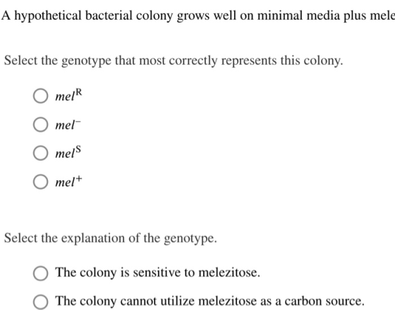 A hypothetical bacterial colony grows well on minimal media plus mele Select the genotype that most correctly represents this