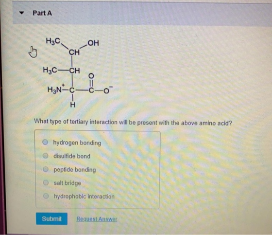 Part A H3C o HẠN- o=0 - What type of tertiary interaction will be present with the above amino acid? hydrogen bonding disulfi
