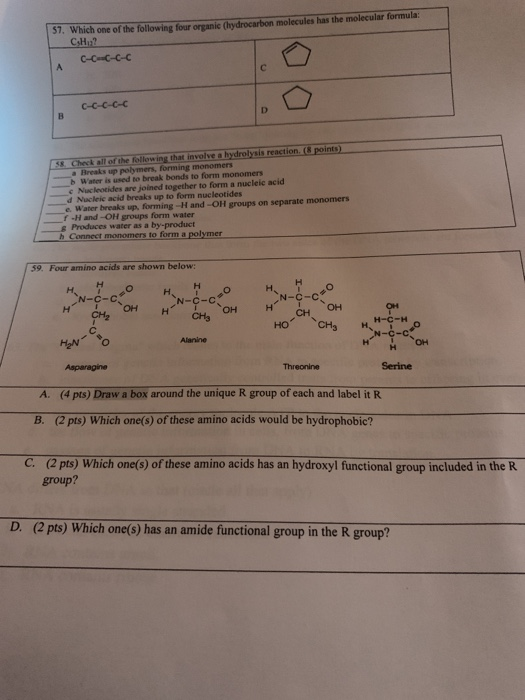 57. Which one of the following fourreane Chydrocarbon molecules has the molecular formula: CH2 A C-cuc-c-c C-C-C-C-C * Check