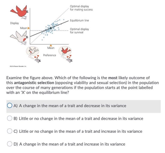 Optimal display for mating success Equilibrium line Display Mean Optimal display for survival Mean Preference 2014 Pearson Ed