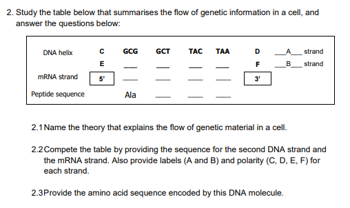2. Study the table below that summarises the flow of genetic information in a cell, and answer the questions below: DNA helix