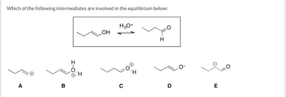 Which of the following intermediates are involved in the equilibrium below: