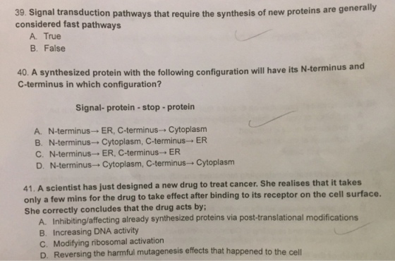 39. Signal transduction pathways that require the synthesis of new considered fast pathways proteins are generally A. True B. False 40. A synthesized protein with the following configuration will have its N-terminus and C-terminus in which configuration? Signal- protein -stop- protein A. N-terminus ER, C-terminus->Cytoplasm B. N-terminus- Cytoplasm, C-terminus- ER C. N-terminus- ER, C-terminus ER D. N-terminus Cytoplasm, C-terminus Cytoplasm 41. A scientist has just designed a new drug to treat cancer. She realises that it takes onl She correctly concludes that the drug acts by ly a few mins for the drug to take effect after binding to its receptor on the cell surface. A. Inhibiting/affecting already synthesized proteins via post-translational modifications B. Increasing DNA activity C. Modifying ribosomal activation D. Reversing the harmful mutagenesis effects that happened to the cell