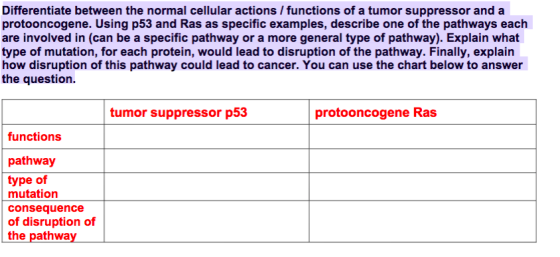 Differentiate between the normal cellular actions / functions of a tumor suppressor and a protooncogene. Using p53 and Ras as