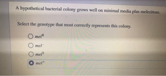 A hypothetical bacterial colony grows well on minimal media plus melezitose. Select the genotype that most correctly represen