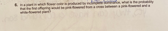 6. In a plant in which flower color is produced by incomplete dominance, what is the probability that the first offspring wou