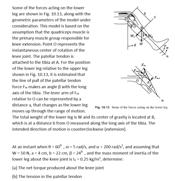 Some of the forces acting on the lower leg are shown in Fig. 10.13, along with the geometric parameters of the model under co