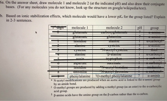 6a. On the answer sheet, draw molecule 1 and molecule 2 (at the indicated pH) and also draw their conjugate bases. (For any molecules you do not know, look up the structure on google/wikipedia/text). Based on ionic stabilization effects, which molecule would have a lower pKa for the group listed? Explain in 2-3 sentences. b. timt-1 molecule l molecule 2 pH group phenylalanine l 0-methyl phenylalanine 7- a-amino * N-acetyl modifications are produced when an acetic acid is linked to the a-amino group : O-methyl groups are produced by adding a methyl group (as an ester) to the α-carboxylic § β-amino acids have the amino group on the β-carbon rather than the a-carbon. by an amide bond. acid group.