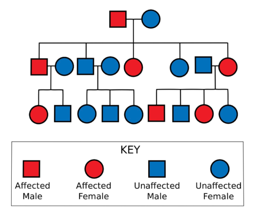 to100 0 KEY Affected Male Affected Female Unaffected Male Unaffected] Female