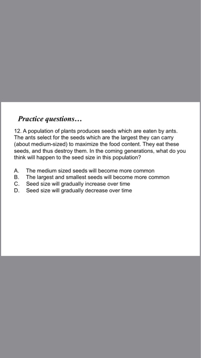 Practice questions.. 12. A population of plants produces seeds which are eaten by ants. The ants select for the seeds which are the largest they can carry (about medium-sized) to maximize the food content. They eat these seeds, and thus destroy them. In the coming generations, what do you think will happen to the seed size in this population? A. The medium sized seeds will become more common B. The largest and smallest seeds will become more common C. Seed size will gradually increase over time D. Seed size will gradually decrease over time