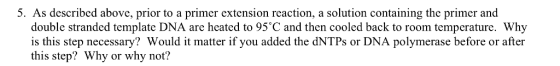 5. As described above, prior to a primer extension reaction, a solution containing the primer and double stranded template DNA are heated to 95 C and then cooled back to room temperature. Why is this step necessary Would it matter if you added the dNTPs or DNA polymerase before or after this step? Why or why not?