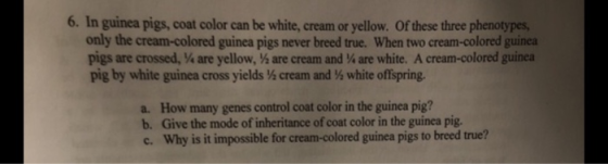 6. In guinea pigs, coat color can be white, cream or yellow. Of these three phenotypes, only the cream-colored guinea pigs ne