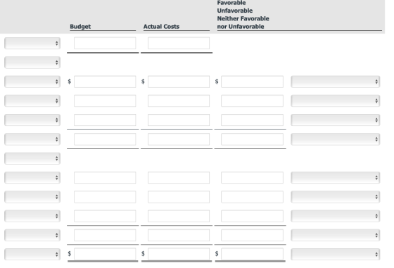 Favorable Unfavorable Neither Favorable nor Unfavorable Budget Actual Costs