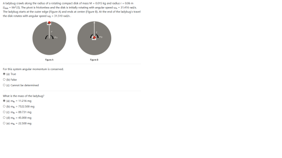 A ladybug crawls along the radius of a rotating compact disk of mass M = 0.015 kg and radius r = 0.06 m (ldisk = Mr²/2). The