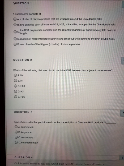 QUESTION 1 A nucleosome consists of A. a cluster of histone proteins that are wrapped around the DNA double helix. B. two pep