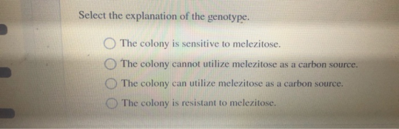 Select the explanation of the genotype. The colony is sensitive to melezitose. O The colony cannot utilize melezitose as a ca