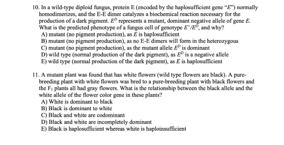 10. In a wild-type diploid fungus, protein E (encoded by the haplosufficient gene “E”) normally homodimerizes, and the E-E d