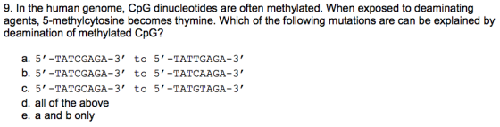 9. In the human genome, CpG dinucleotides are often methylated. When exposed to deaminating agents, 5-methylcytosine becomes
